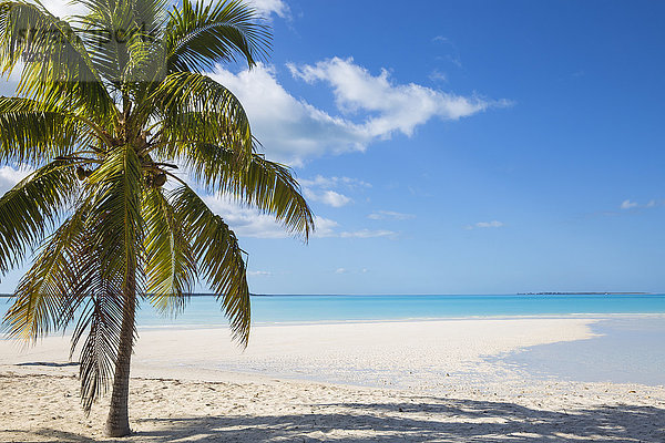Strand von Treasure Cay  Great Abaco  Abaco-Inseln  Bahamas  Westindische Inseln  Mittelamerika