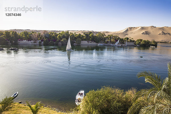 Blick auf den Nil und die Botanischen Gärten auf der Kitchener-Insel  Assuan  Oberägypten  Ägypten  Nordafrika  Afrika