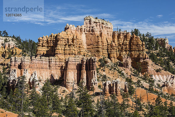 Blick auf Hoodoo-Formationen vom Fairyland Trail im Bryce Canyon National Park  Utah  Vereinigte Staaten von Amerika  Nordamerika