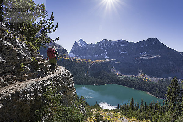 Wanderer auf dem Alpine Circuit Trail  Lake O'Hara  Yoho National Park  UNESCO Weltkulturerbe  Kanadische Rockies  Alberta  Kanada  Nordamerika