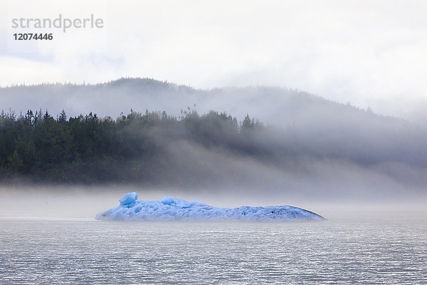 Leuchtend blauer Eisberg vom Mendenhall-Gletscher  umgeben von Nebel auf dem Mendenhall-See  Juneau  Alaska  Vereinigte Staaten von Amerika  Nordamerika