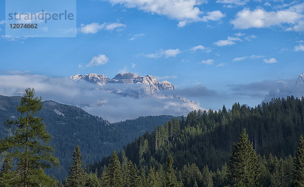 Brenta-Gebirge  Rendena-Tal  Trentino  Italien  Europa