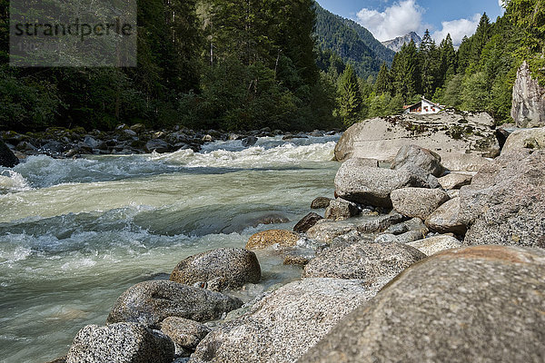 Fluss Sarca und Adamello-Bergkette  Genova-Tal  Trentino  Italien  Europa