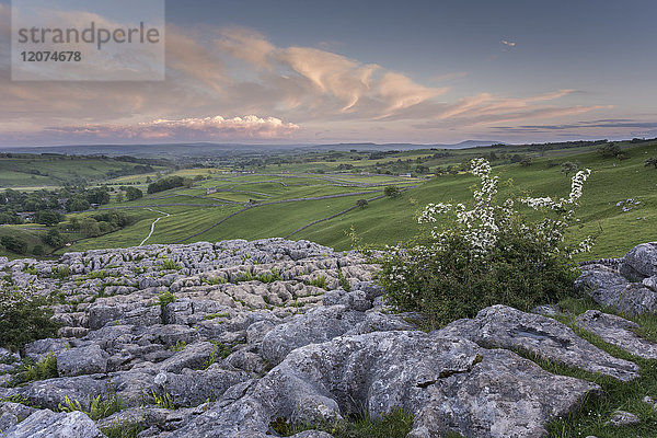 Blick auf Kalksteinpflaster  Malham Cove  Malham  Yorkshire Dales National Park  North Yorkshire  England  Vereinigtes Königreich  Europa