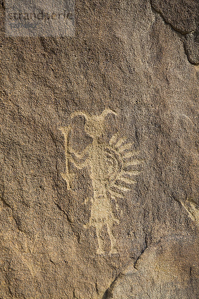 Petroglyphen  bis zu 1500 Jahre alt  Crow Canyon  New Mexico  Vereinigte Staaten von Amerika  Nordamerika