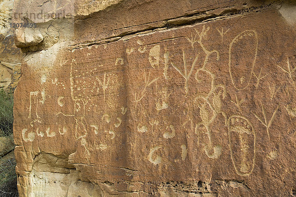 Petroglyphen  bis zu 1500 Jahre alt  Crow Canyon  New Mexico  Vereinigte Staaten von Amerika  Nordamerika