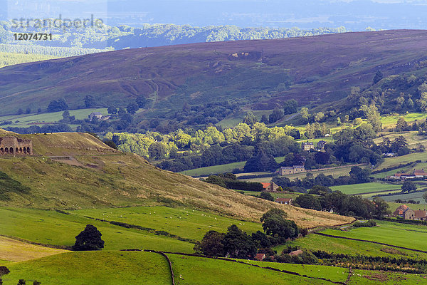 Blühendes Heideland und sanfte Hügel  Yorkshire Moors National Park  Yorkshire  England  Vereinigtes Königreich  Europa
