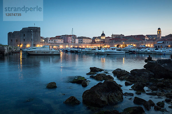 Die Lichter der Altstadt von Dubrovnik und des Hafens während der blauen Stunde  Dubrovnik  Kroatien  Europa