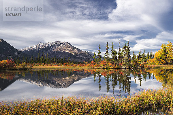 Herbstlaub und Bergsee  Jasper National Park  UNESCO-Weltkulturerbe  Kanadische Rockies  Alberta  Kanada  Nordamerika