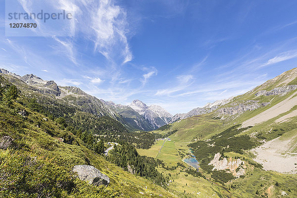 Grüne Wiesen rund um die hohen Gipfel der Schweizer Alpen  Albulatal  Kanton Graubünden  Schweiz  Europa