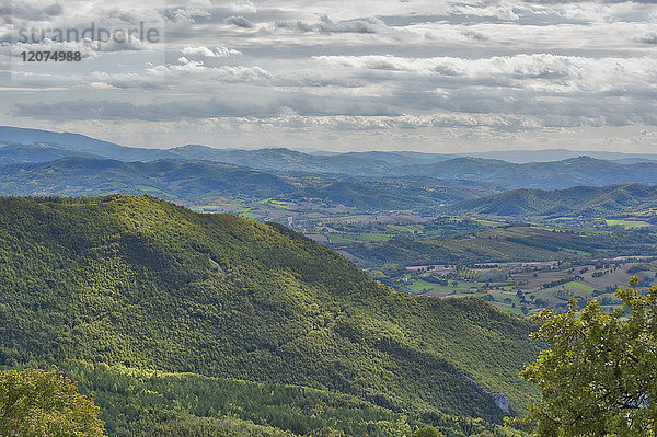 Wald im Herbst  Monte Cucco Park  Apennin  Umbrien  Italien  Europa