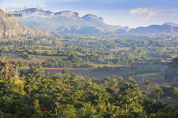 Blick auf das Vinales-Tal  UNESCO-Weltkulturerbe  Vinales  Provinz Pinar del Rio  Kuba  Westindien  Karibik  Mittelamerika