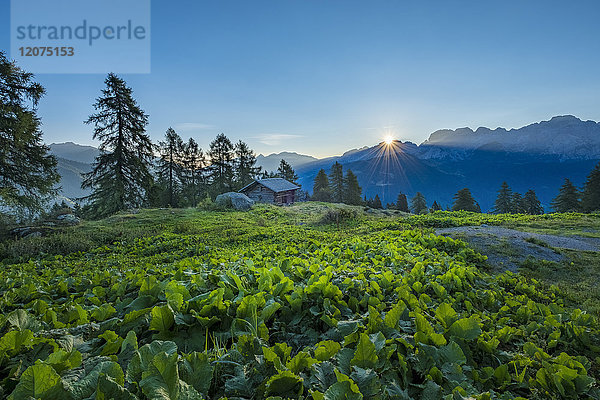 Brenta-Bergkette bei Sonnenaufgang  Rendena-Tal  Trentino  Italien  Europa