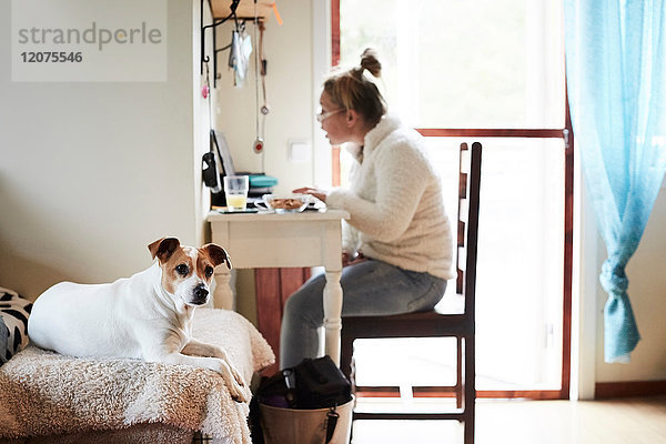 Hund sitzend auf Sofa mit behinderter Frau mit Laptop im Hintergrund zu Hause