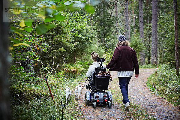 Rückansicht des Hausmeisters mit behinderter Frau und Hund im Wald