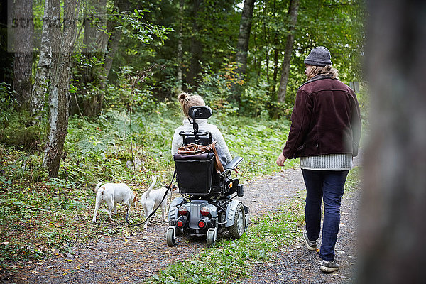 Rückansicht des jungen Hausmeisters mit behinderter Frau und Hund im Wald