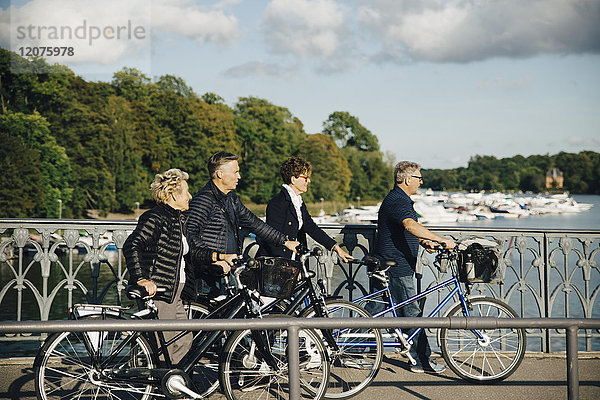 Seniorenfreunde mit Fahrrädern auf der Brücke über dem Fluss