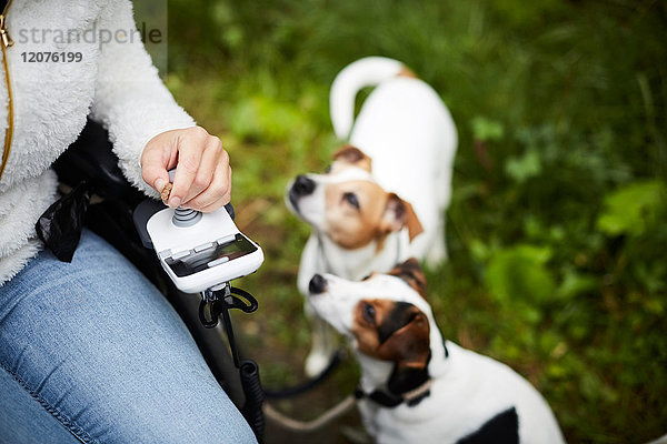 Schnittbild einer behinderten Frau im Rollstuhl mit Hunden im Freien
