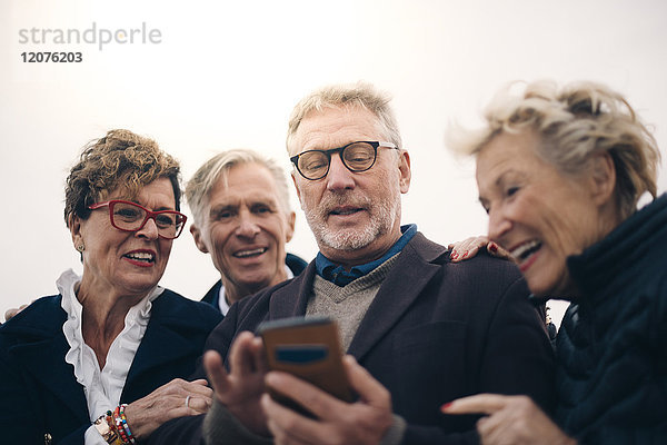 Niedriger Blickwinkel auf ältere männliche und weibliche Freunde  die ein Smartphone benutzen  während sie im Hafen stehen