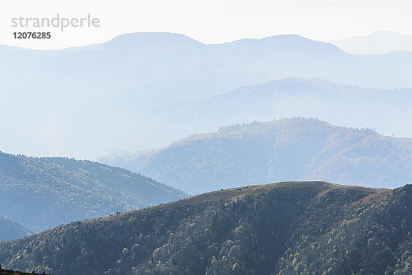 Ukraine  Gebiet Zakarpattia  Bezirk Rachiw  Karpaten  Chornohora  Berglandschaft mit Nebel