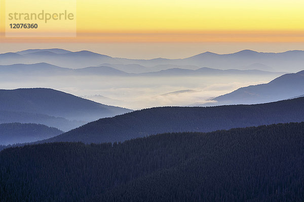 Ukraine  Gebiet Zakarpattia  Bezirk Rachiw  Karpaten  Chornohora  Berglandschaft mit Nebel