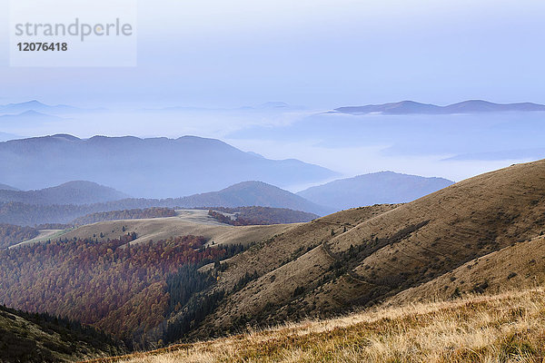 Ukraine  Gebiet Zakarpattia  Bezirk Rachiw  Karpaten  Chornohora  Sheshul  Berglandschaft mit Nebel