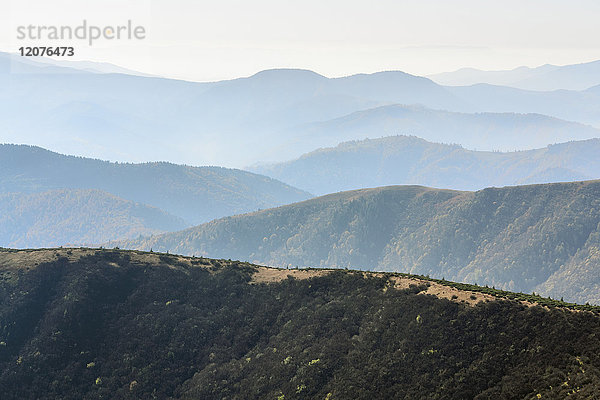 Ukraine  Gebiet Zakarpattia  Bezirk Rachiw  Karpaten  Chornohora  Berglandschaft mit Nebel