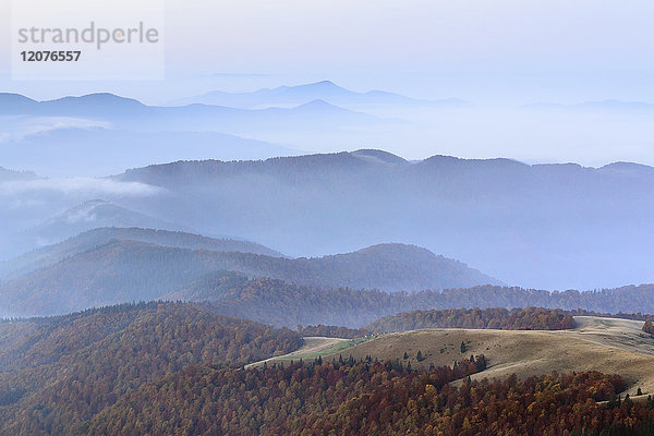 Ukraine  Gebiet Zakarpattia  Bezirk Rachiw  Karpaten  Chornohora  Sheshul  Berglandschaft mit Nebel