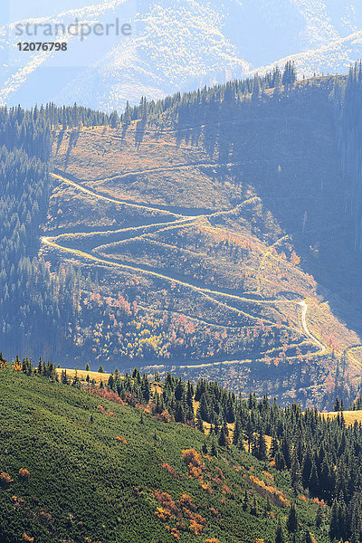 Ukraine  Gebiet Zakarpattia  Bezirk Rachiw  Karpaten  Chornohora  Landschaft mit Berg Turkul