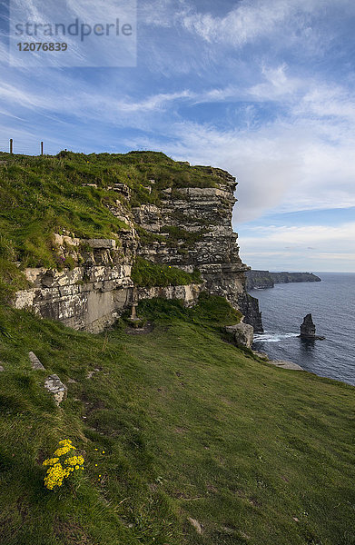 Irland  Grafschaft Clare  Landschaft der Cliffs of Moher
