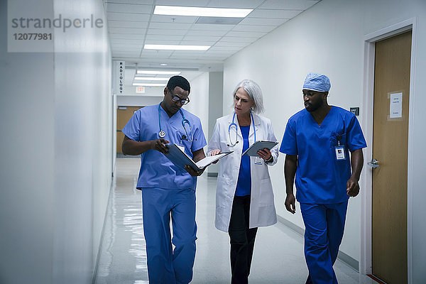 Arzt und Krankenschwestern besprechen den Papierkram im Krankenhaus