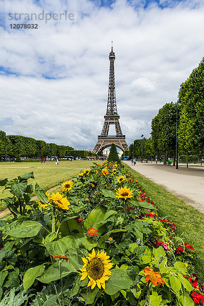 Blumenreihe in der Nähe des Eiffelturms  Paris  Ile de France  Frankreich