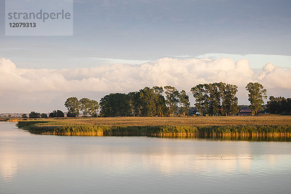 Deutschland  Fischland-Darss-Zingst  Nationalpark Vorpommersche Lagune  Blick auf die Insel Kirr  Bodden im Herbst