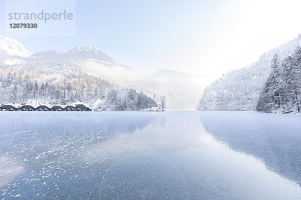 Deutschland  Berchtesgadener Land  Blick auf zugefrorenen Königssee und Berchtesgadener Alpen