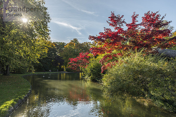 Deutschland  Bayern  München  Englischer Garten im Herbst