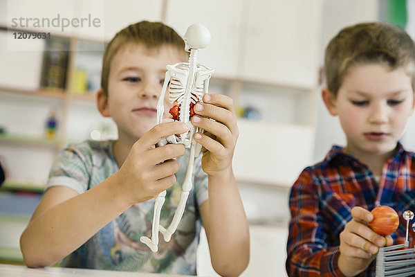 Junge mit anatomischem Modell im Kindergarten