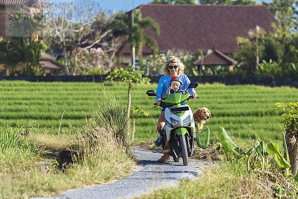 Frau mit Kind und Hund fährt Motorroller auf der Landstraße