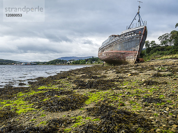 UK  Schottland  Highland  Loch Linnhe  Schiffswrack am Strand von Corpach