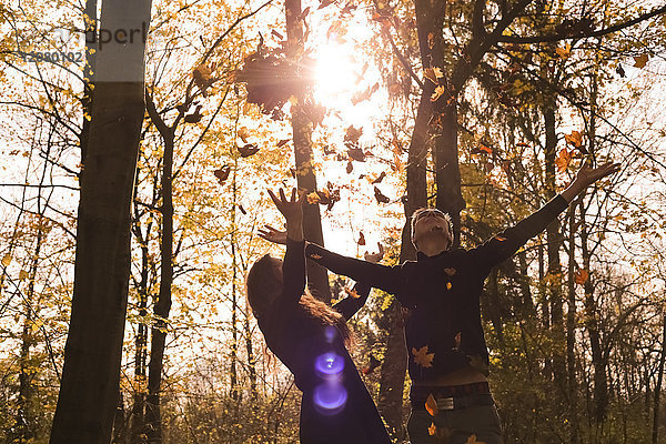 Glückliches Paar im Herbst im Wald  das Blätter in die Luft wirft.