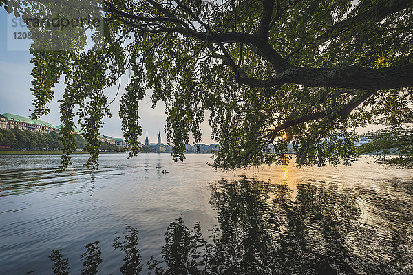 Deutschland  Hamburg  Binnenalster bei Sonnenuntergang