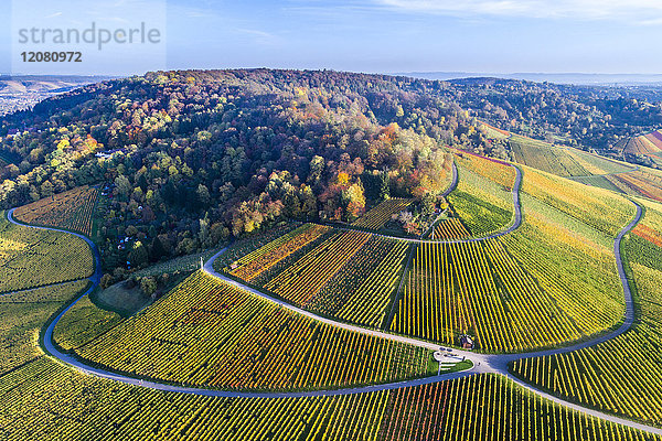 Deutschland  Stuttgart  Luftaufnahme der Weinberge am Kappelberg im Herbst