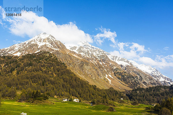 Schweiz  Graubünden  Schweizer Alpen  Parc Ela  Blick vom Julierpass