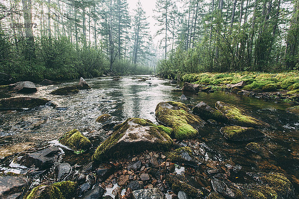 Fluss in ländlicher Landschaft