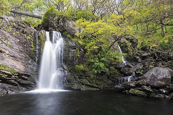 Großbritannien  Schottland  Schottische Highlands  Loch Lomond  Trossachs  Wasserfall Inversnaid