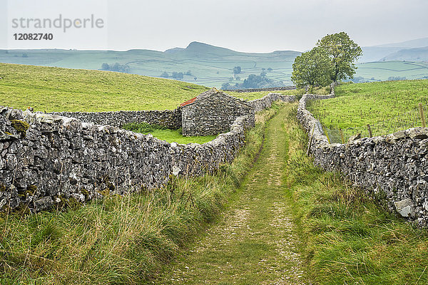 Großbritannien  England  District Yorkshire Dales  Feldweg bei Catrigg Force