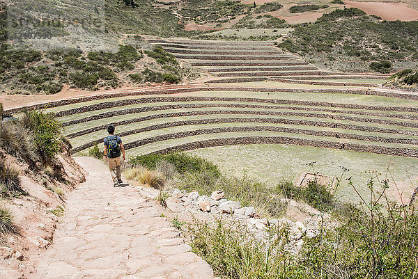 Mann erkundet die Moray-Ruinen in Maras  Cusco  Peru  Südamerika