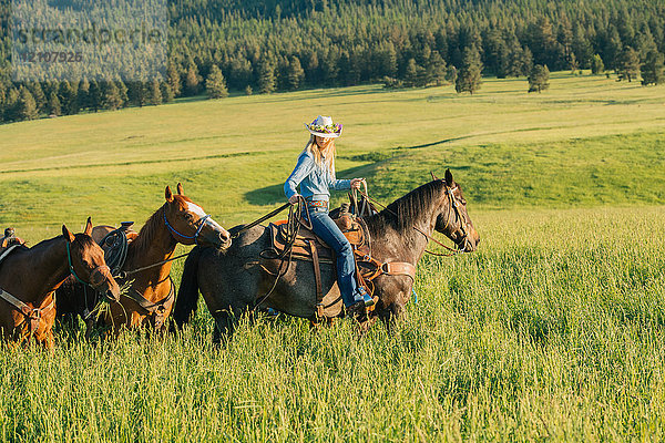 Teenagerin führt vier Pferde an  Enterprise  Oregon  Vereinigte Staaten  Nordamerika