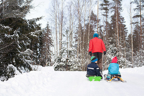 Rückansicht eines Mannes  der zwei Söhne auf Schlitten durch den schneebedeckten Wald zieht