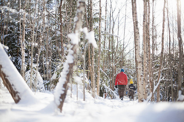 Rückansicht von Mann und Sohn im schneebedeckten Wald