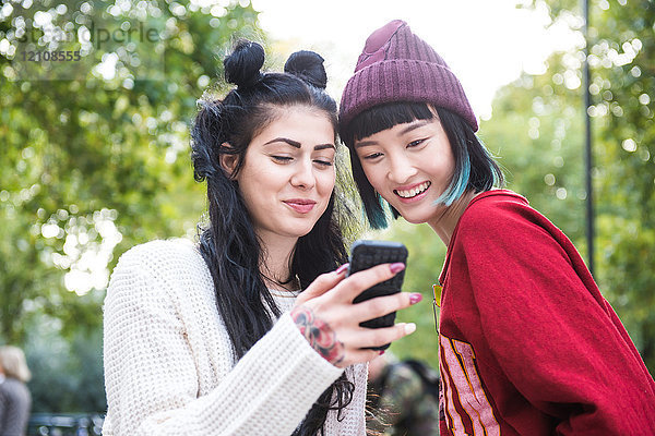 Zwei junge stilvolle Frauen schauen sich im Stadtpark ein Smartphone an